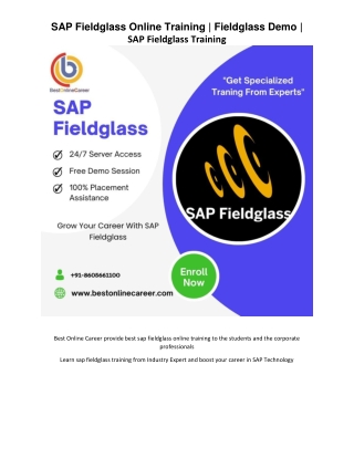 SAP Fieldglass Online Training