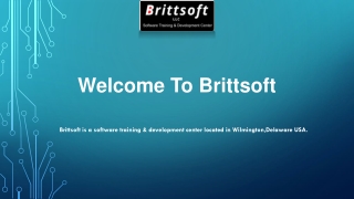Java Online Course Center USA at Brittsoft