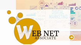 Best Digital Makreting Agency