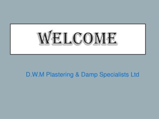 Get the Best Damp Specialist in Longton