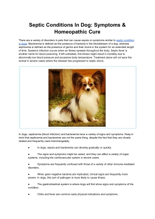 Septic Conditions In Dog_ Symptoms & Homeopathic Cure