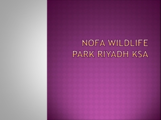 Nofa Wildlife Park Riyadh KSA