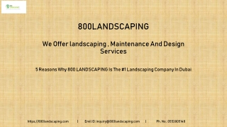 5 Reasons Why 800 LANDSCAPING Is The #1 Landscaping Company In Dubai