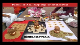 Kalsarp Puja In Trimbakeshwar | Trimbakeshwar.in | 9763437371