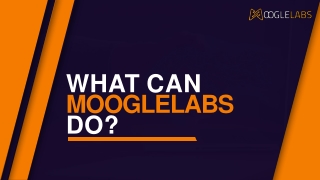 What Can Mooglelabs Do