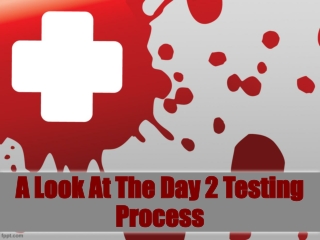 A Look At The Day 2 Testing Process