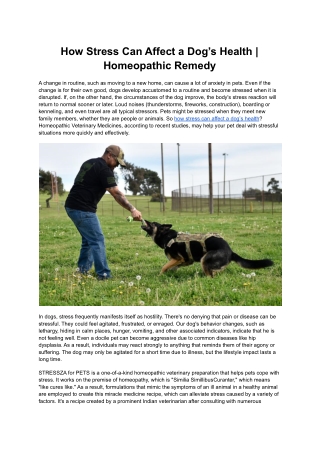 How Stress Can Affect a Dog’s Health |Homeopathic Remedy