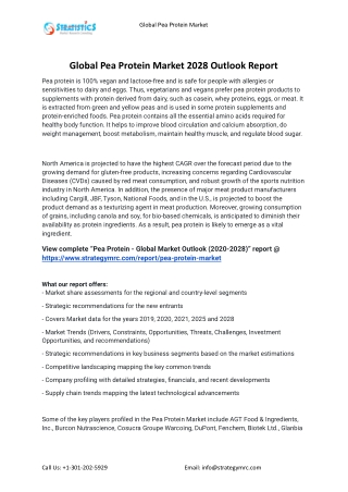 2021 Pea Protein Industry Global Analysis Report
