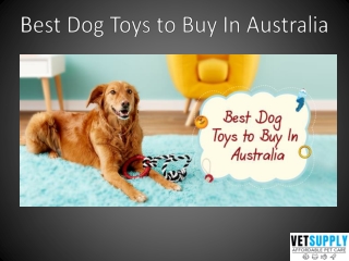 Best dog toys to buy in Australia | VetSupply