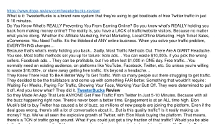 TweeterBucks Review