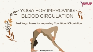 Best Yoga Poses for Improving Your Blood Circulation