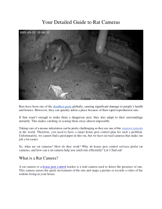 Your Detailed Guide to Rat Cameras