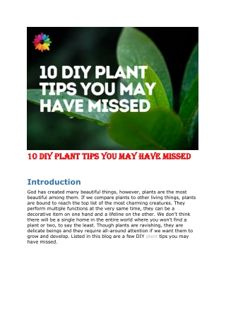 10 DIY Plant Tips You May Have Missed