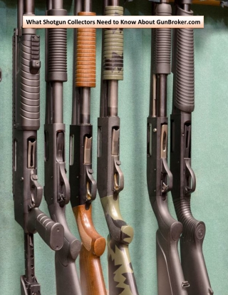 What Shotgun Collectors Need to Know About GunBroker.com