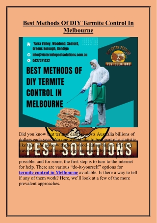 Best Methods Of DIY Termite Control In Melbourne
