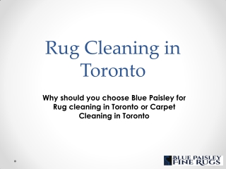 Rug Cleaning in Toronto