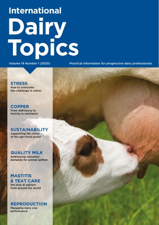 ANIMINE CoRouge 2020 02 Dairy Topics - Ruminant Cu toxicity