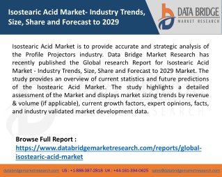 Isostearic Acid Market - Industry Trends, Size, Share and Forecast to 2029