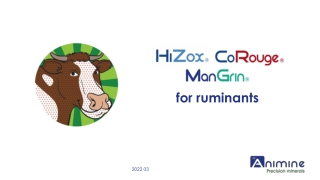 ANIMINE CoRouge 2022 03 RUMINANT dossier - Rumenco