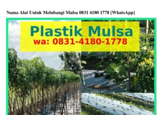Nama Alat Untuk Melubangi Mulsa 083I–ᏎI80–Iᜪᜪ8(WA)