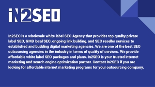 Wholesale SEO - In2SEO