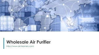 Wholesale Air Purifier