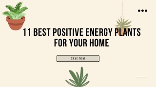 Positive Benefits of Energy Plants