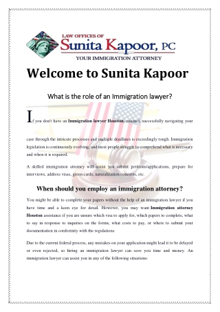 What is the role of an Immigration lawyer