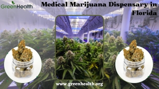 The Best Medical Marijuana Dispensary in Florida – Green Health