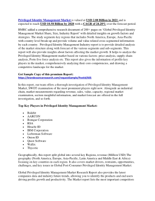 Privileged Identity Management Market