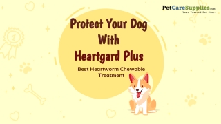 Buy Cheap Heartgard Plus Chewables for Dogs Online