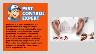 Pest Control Specialists - Pest Control Expert