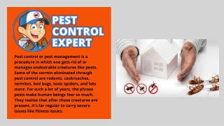 Pest Control Specialists - Pest Control Expert