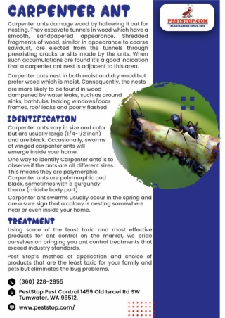 Tumwater Pest Control | Steilacoom Pest Control