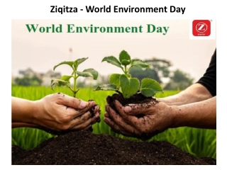 Ziqitza - World Environment Day