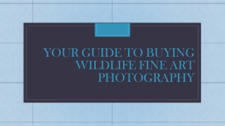 Your guide To Buying Wildlife Fine Art Photography