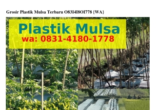 Grosir Plastik Mulsa Terbaru Ô8౩1•Ꮞ18Ô•1ᜪᜪ8(WA)