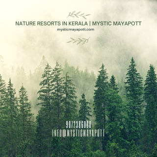 Nature Resorts In Kerala | Mystic Mayapott