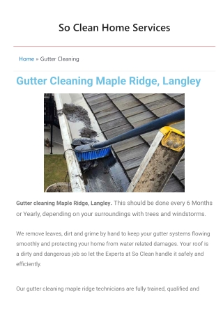 Custom gutter cleaning in Maple Ridge