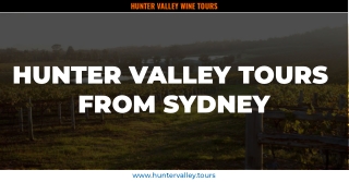 Learn about the attractions of Hunter Valley wine tours