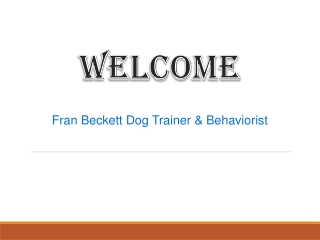 Best Last Resort Dog Training in Low Hauxley