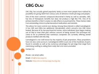 CBG Olaj