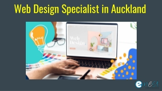 Web Design Specialist in Auckland