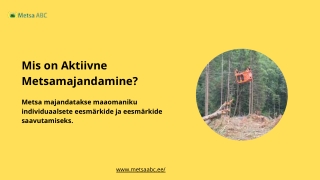 Mis on aktiivne metsamajandamine