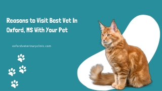 Reasons to Visit Best Vet In Oxford, MS