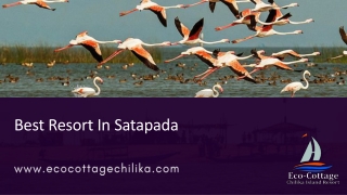One of the Best Resort In Satapada
