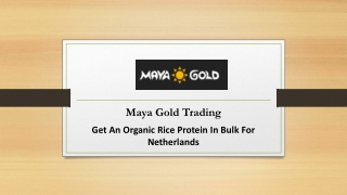 Get An Organic Rice Protein In Bulk For Netherlands