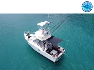 Fishing Charters Airlie Beach