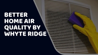 Better Home Air Quality By Whyte Ridge
