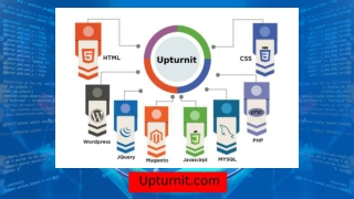 Web Designing In Nashik | Upturnit | 8482838002